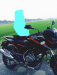 Palser150